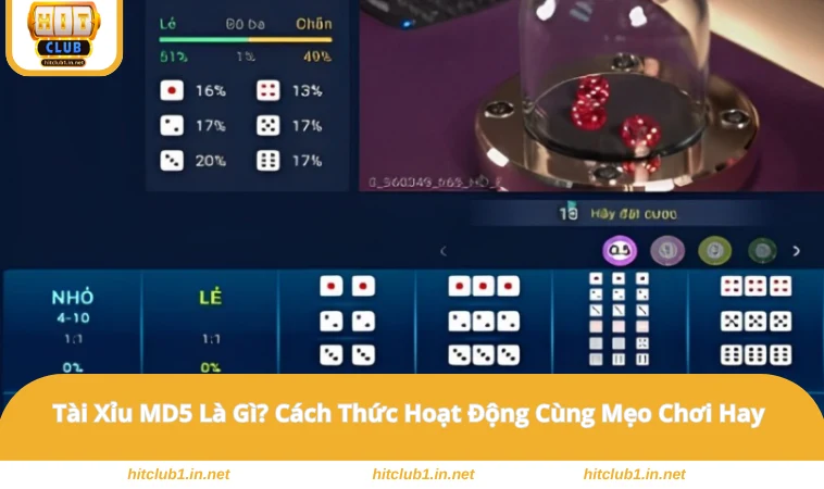 Tài Xỉu MD5